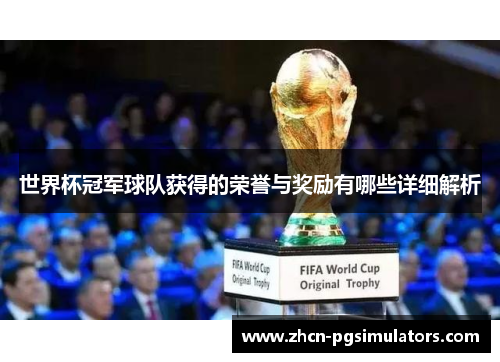 世界杯冠军球队获得的荣誉与奖励有哪些详细解析