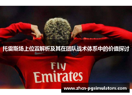 托雷斯场上位置解析及其在团队战术体系中的价值探讨