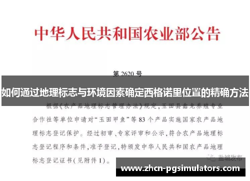 如何通过地理标志与环境因素确定西格诺里位置的精确方法