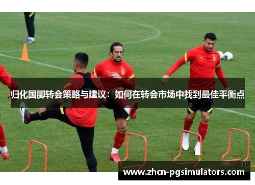 归化国脚转会策略与建议：如何在转会市场中找到最佳平衡点