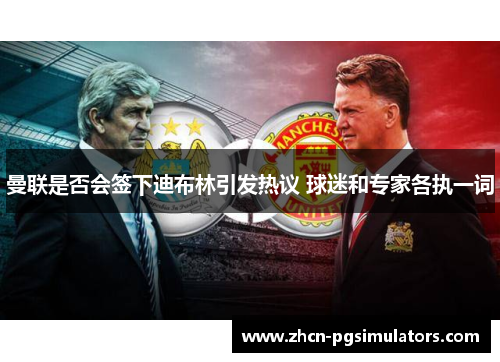 曼联是否会签下迪布林引发热议 球迷和专家各执一词